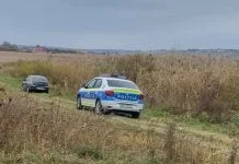 urmărire poliție