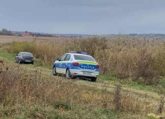 urmărire poliție