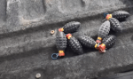 grenade antrenament