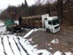 transport material lemnos (3)