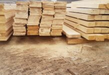 Peste 1.000 de metri cubi de cherestea în valoare de aproape 800.000 de lei lipsă dintr-un depozit din Suceava. Dosar penal și confiscare prin echivalent
