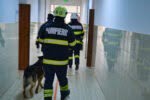 exercițiu cutremur (3)