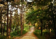 Adolescent ucrainean rănit după ce a căzut de pe bicicletă în pădurea Zamca