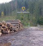 WhatsApp Image 2022-09-28 at 12.46.56