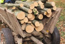 Valea Moldovei: În timp ce proprietarul era la biserică vecinul i-a furat un metru ster de fag  din curte