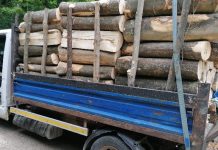 Două transporturi ilegale de lemn depistate de același echipaj de poliție la Capu Codrului și Pârteștii de Jos