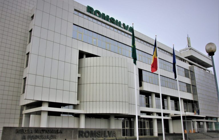 Romsilva demarează proiectul „Sistem Informatic pentru Gestionarea Fondului Forestier Administrat de Romsilva”