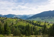 Județul Suceava pierde turiști români, dar câștigă turiști străini: Sosirile turiștilor români au scăzut cu 10 la sută, iar ale turiștilor străini au crescut cu 5,4 la sută în primele opt luni din 2026