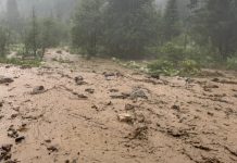 Inundații locale în Cârlibaba: Ploile torențiale au afectat terenuri și gospodării