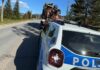 Două autoutilitare cu material lemnos fără documente, oprite și confiscate într-un interval de 10 minute în comuna Râșca