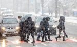zapada ninsoare trafic lapovita drum inchis înzăpezit deszăpezire (3)