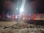 IMG-20250217-WA0003