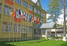 ISJ Suceava anunță concurs pentru ocuparea a 181 de posturi de director și 77 de directori adjuncți în școlile din județ