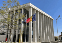 Rădăuți: Doi angajați ai unui ocol silvic, reținuți pentru delapidare și abuz în serviciu