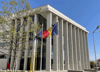 Rădăuți: Doi angajați ai unui ocol silvic, reținuți pentru delapidare și abuz în serviciu