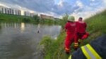 inec salvat isu (5)