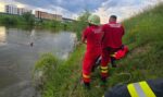 inec salvat isu (9)