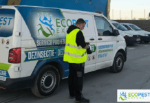 Soluții rapide care te scapă de dăunători? De la Ecopest Expert – firma de deratizare din Suceava