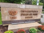 usv universitate
