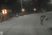 DRDP Iași spune că intervine pe drumurile naționale în urma ninsorilor: Carosabilul se prezintă umed, cu sectoare de zăpadă frământată în zona montană