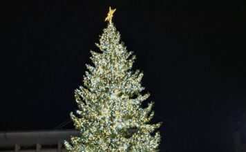 Suceava intră în magia Crăciunului: În acest an fiecare categorie de suceveni – de la cei mai mici până la seniori – primește onoarea de a aprinde luminile Pomului de Crăciun