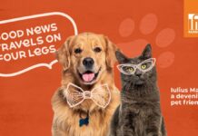 Experiențe pentru întreaga familie, inclusiv pentru căței și pisici. Iulius Mall Suceava a devenit pet friendly