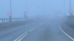ceata trafic (5)