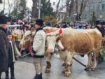 obiceiuri traditii plugusor anul nou parada (18)