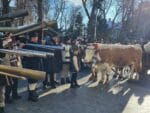 obiceiuri traditii plugusor anul nou parada (28)