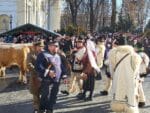 obiceiuri traditii plugusor anul nou parada (34)