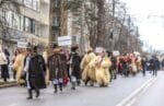 parada obiceiuri iarna (10)
