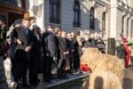 parada obiceiuri iarna (26)