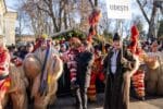 parada obiceiuri iarna (39)