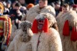 parada obiceiuri iarna (77)