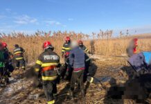 Operațiunea Pocoleni: 22 de vaci salvate dintr-un iaz înghețat– o bovină a decedat