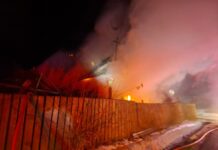 Incendiu în Leucușești: O casă de locuit mistuită de flăcări. Pompierii au salvat anexele gospodărești