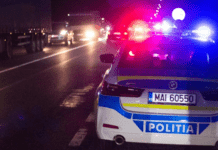 Șofer recalcitrant încătușat și cercetat penal după ce a fost oprit în trafic la Mironu: Injurii la adresa polițiștilor și refuz să fie testat pentru stabilirea alcoolemiei