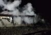 Incendiu violent în Bădeuți: O gospodărie aproape distrusă, o altă gospodărie afectată și o femeie transportată la spital