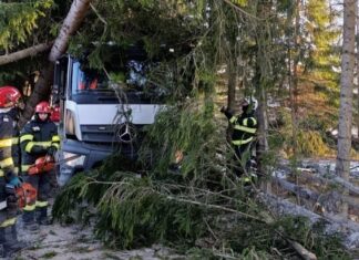 Arbore căzut peste o autoutilitară în localitatea Panaci – intervenție promptă a pompierilor din Vatra Dornei