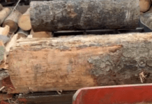 Lemn fără aviz transportat pe un drum comunal din Putna. Aproape patru metri cubi de molid, confiscați