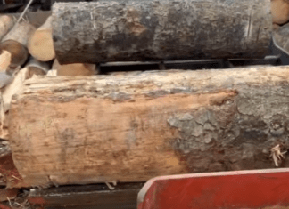 Lemn fără aviz transportat pe un drum comunal din Putna. Aproape patru metri cubi de molid, confiscați