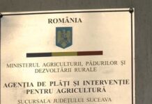 Directorul executiv al APIA Suceava, Eugen Mogoș, suspendat din funcție pe perioada arestului la domiciliu