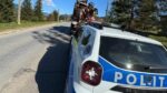 politie razie lemn (4)