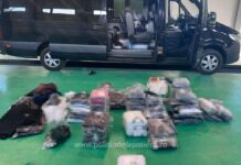 Sute de bunuri contrafăcute într-un microbuz ucrainean, descoperite de polițiștii de frontieră la PTF Siret