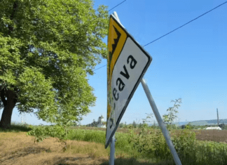 Șoferul care a părăsit locul accidentului mortal de pe DJ 208A, arestat preventiv pentru 30 de zile