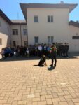 politia razie (8)