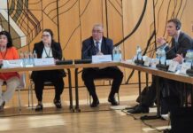 Suceava, reprezentată prin Florin Sinescu la lucrările Comisiei Guvernamentale Mixte Româno-Germane de la München