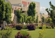 Seri de film, cu acces liber, în parcul Iulius Mall. Săptămâna aceasta: „F1: The Movie”, „Un bărbat de onoare”, „Elio” și „DC League of Super-Pets”