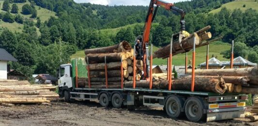 Peste 260 de mc de materiale lemnoase fără proveniență legală, descoperite la Ostra. Dosar penal deschis de Poliție