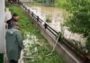 ISU Suceava: Ploile torențiale au afectat mai multe localități din zona de munte a județului Suceava